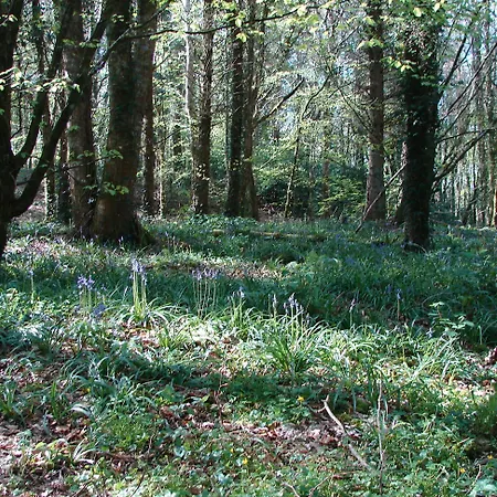 Downhill Ballina (Mayo)