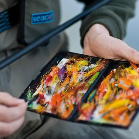 Downhill 3* Ballina (Mayo)