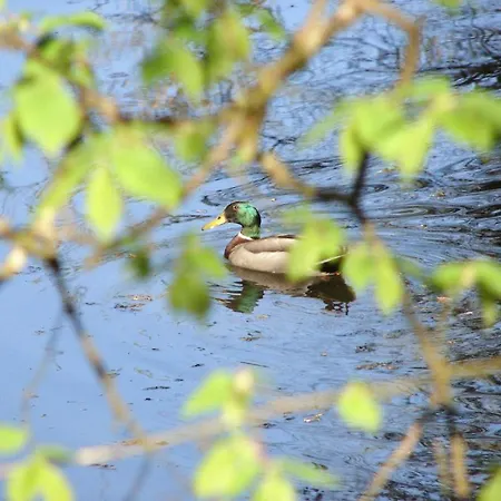 Downhill Hotel Ballina (Mayo)
