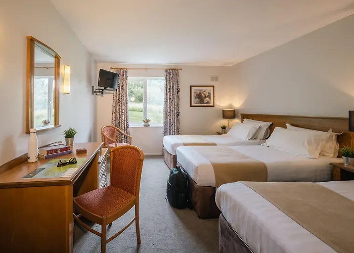 Downhill Hotell Ballina (Mayo)