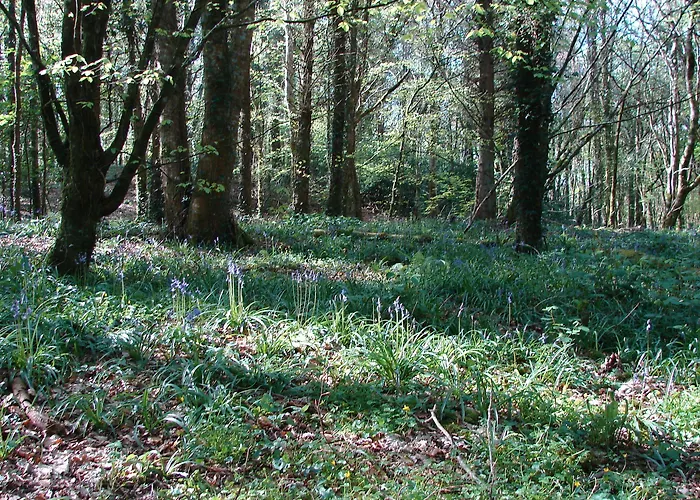 Downhill Ballina (Mayo)