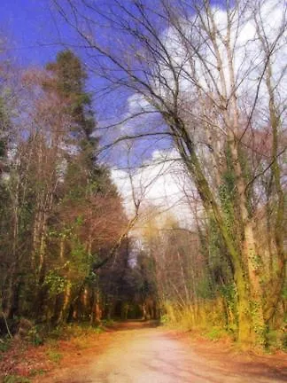 Downhill