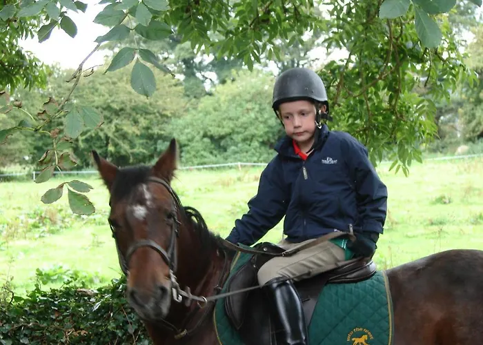 Downhill 3* Ballina (Mayo)