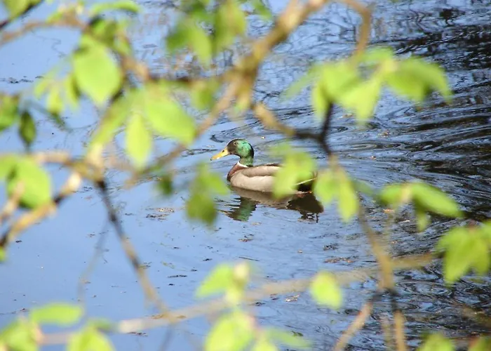 Downhill Hotell Ballina (Mayo)